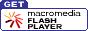 flash.gif (1263 Byte)